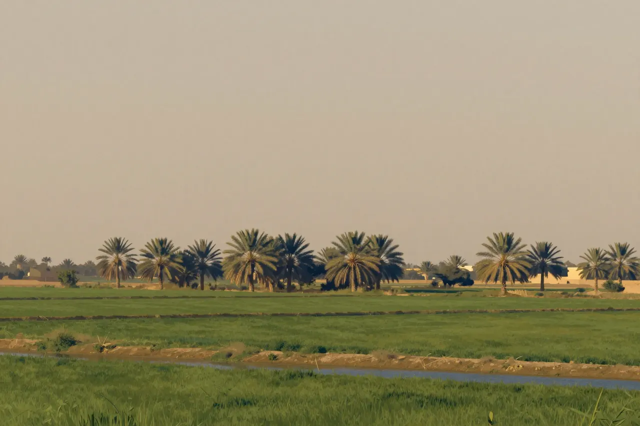 صورة توضيحية مولّدة بالذكاء الاصطناعي لـدلتا النيل بالنخيل. المشهد توضيحي ولا يمثل صورة فوتوغرافية للأصل.